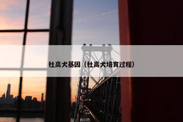 杜高犬基因（杜高犬培育过程）