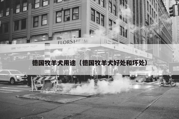 德国牧羊犬用途（德国牧羊犬好处和坏处）