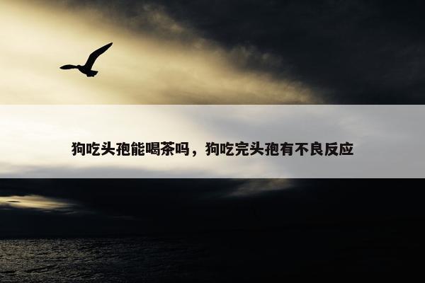 狗吃头孢能喝茶吗，狗吃完头孢有不良反应
