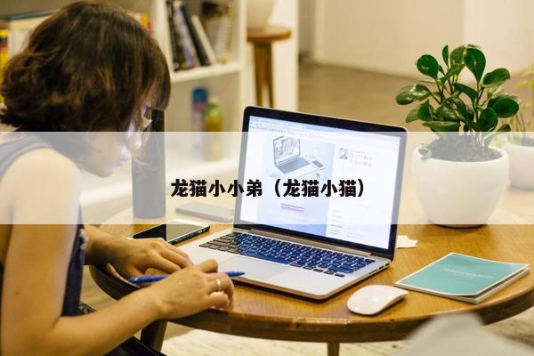 龙猫小小弟(龙猫小猫)