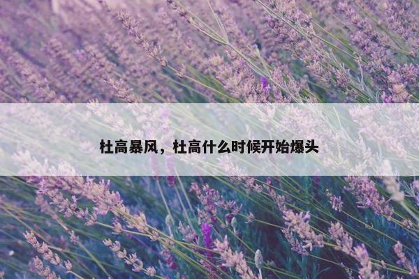 杜高暴风，杜高什么时候开始爆头