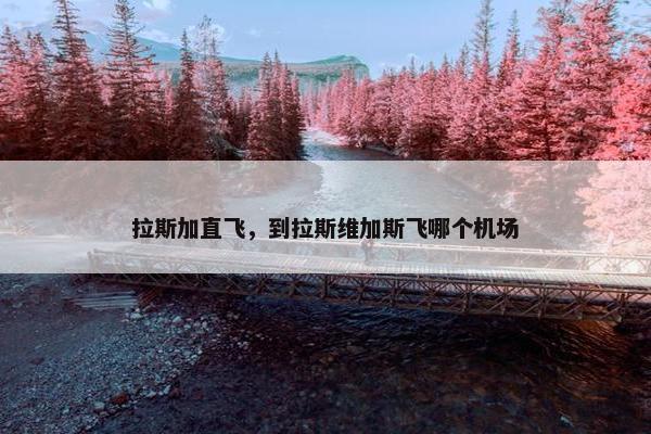 拉斯加直飞，到拉斯维加斯飞哪个机场