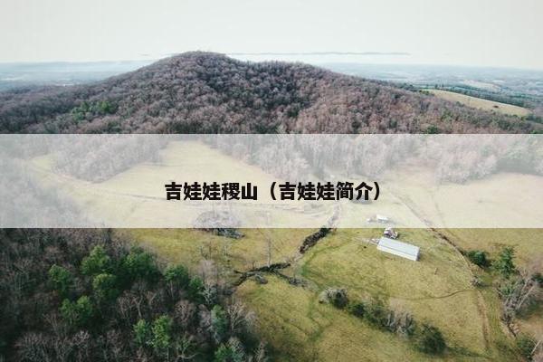 吉娃娃稷山（吉娃娃简介）