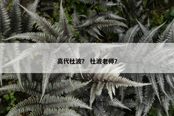 高代杜波？ 杜波老师？