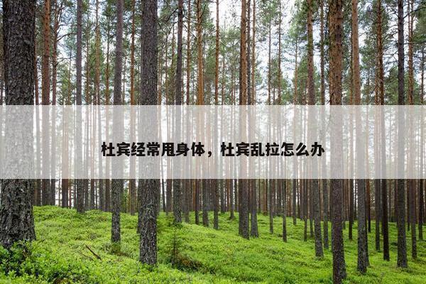 杜宾经常甩身体，杜宾乱拉怎么办