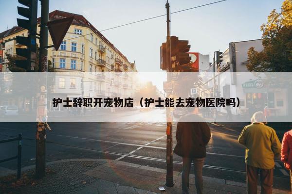 璀璨