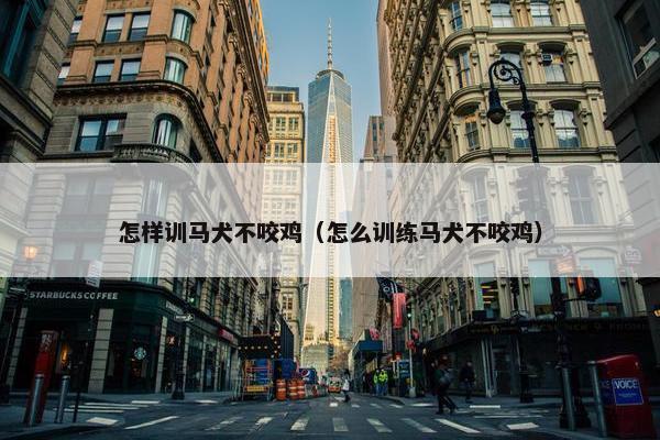 怎样训马犬不咬鸡(怎么训练马犬不咬鸡)