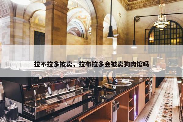 拉不拉多被卖，拉布拉多会被卖狗肉馆吗