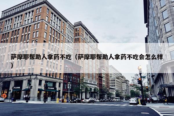 萨摩耶帮助人拿药不吃（萨摩耶帮助人拿药不吃会怎么样）