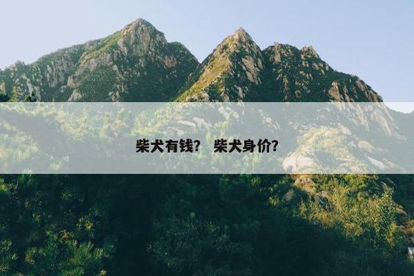 柴犬有钱？ 柴犬身价？