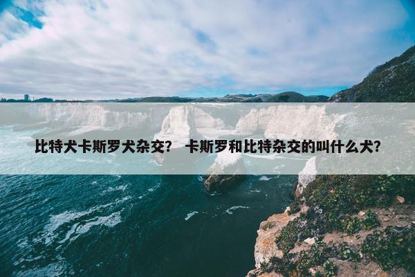 比特犬卡斯罗犬杂交？ 卡斯罗和比特杂交的叫什么犬？