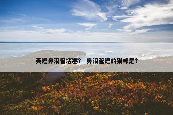 英短鼻泪管堵塞？ 鼻泪管短的猫咪是？