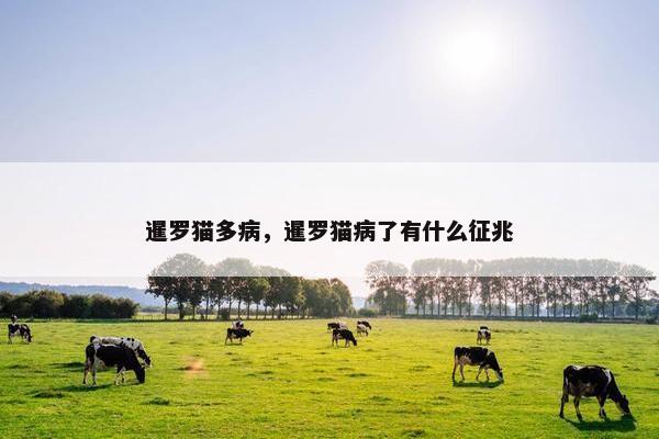暹罗猫多病，暹罗猫病了有什么征兆