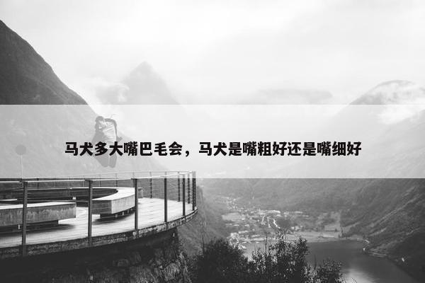 马犬多大嘴巴毛会，马犬是嘴粗好还是嘴细好