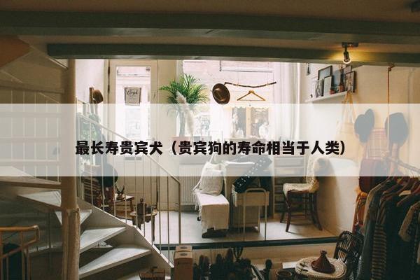 最长寿贵宾犬（贵宾狗的寿命相当于人类）