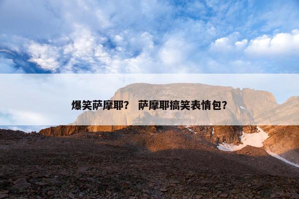 爆笑萨摩耶？ 萨摩耶搞笑表情包？