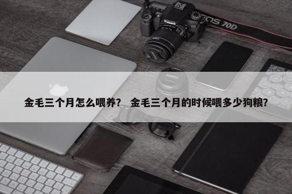 金毛三个月怎么喂养？ 金毛三个月的时候喂多少狗粮？