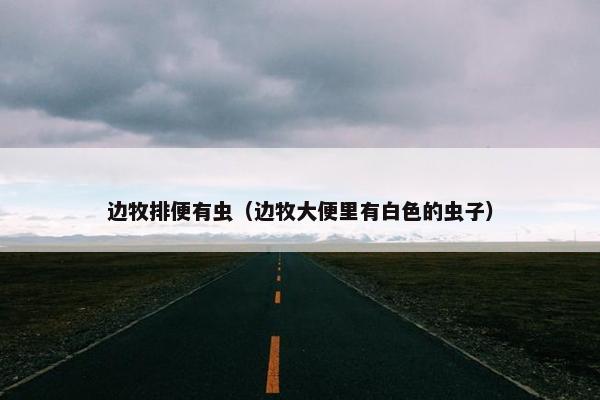 边牧排便有虫（边牧大便里有白色的虫子）