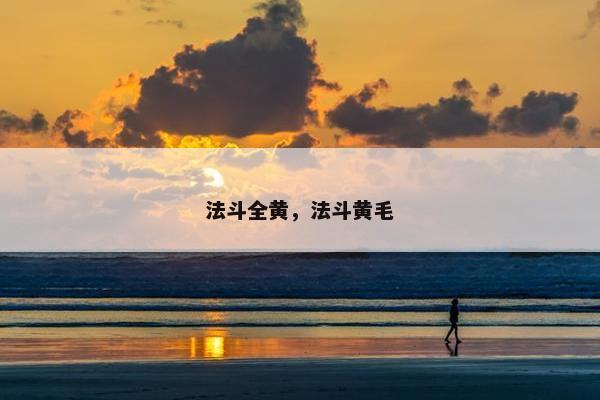 法斗全黄,法斗黄毛