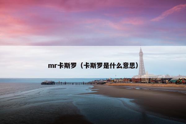 mr卡斯罗(卡斯罗是什么意思)