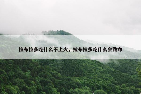 拉布拉多吃什么不上火，拉布拉多吃什么会致命