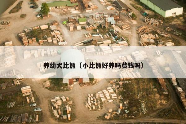 养幼犬比熊(小比熊好养吗费钱吗)
