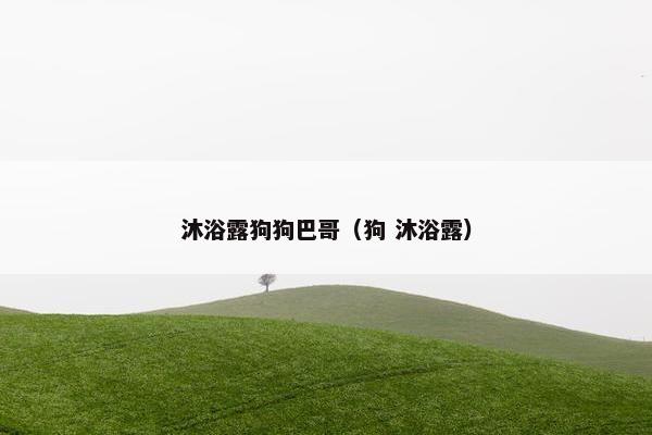 沐浴露狗狗巴哥（狗 沐浴露）