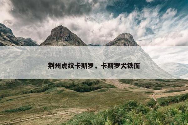 荆州虎纹卡斯罗，卡斯罗犬铁面