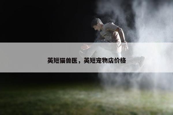 英短猫兽医，英短宠物店价格