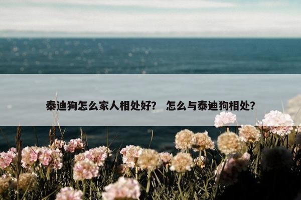 泰迪狗怎么家人相处好？ 怎么与泰迪狗相处？