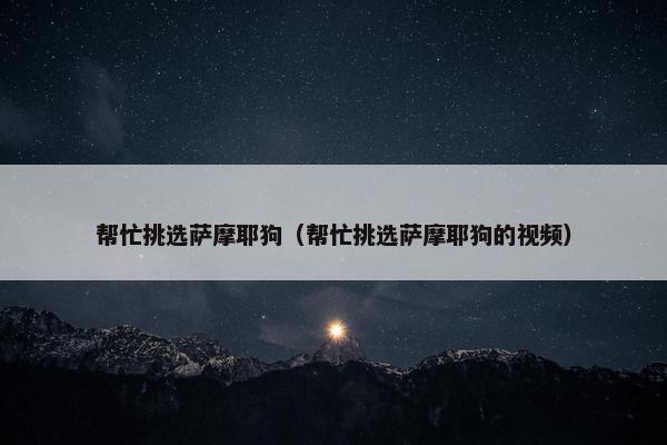 帮忙挑选萨摩耶狗（帮忙挑选萨摩耶狗的视频）