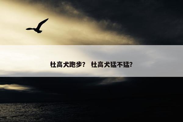 杜高犬跑步？ 杜高犬猛不猛？