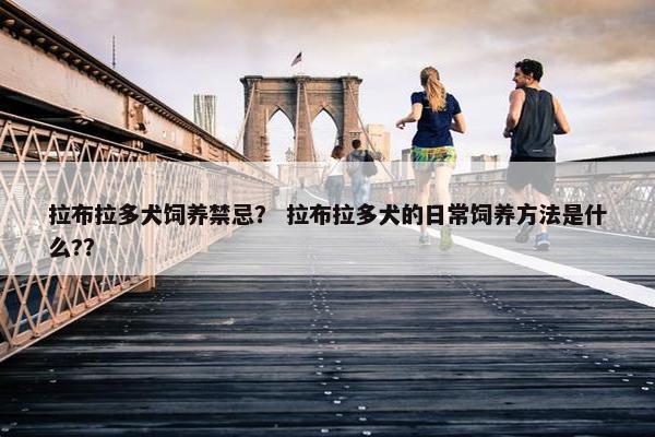 拉布拉多犬饲养禁忌？ 拉布拉多犬的日常饲养方法是什么?？