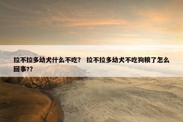 拉不拉多幼犬什么不吃？ 拉不拉多幼犬不吃狗粮了怎么回事?？