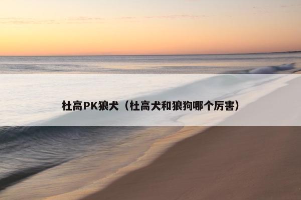 杜高PK狼犬(杜高犬和狼狗哪个厉害)