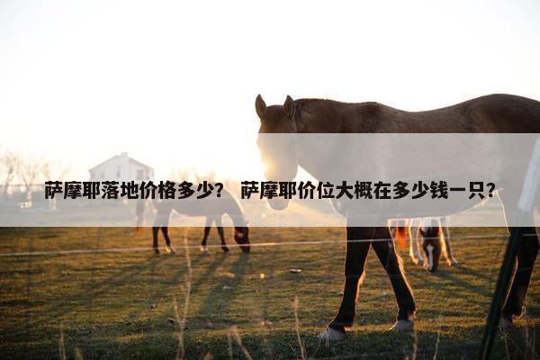 萨摩耶落地价格多少？ 萨摩耶价位大概在多少钱一只？