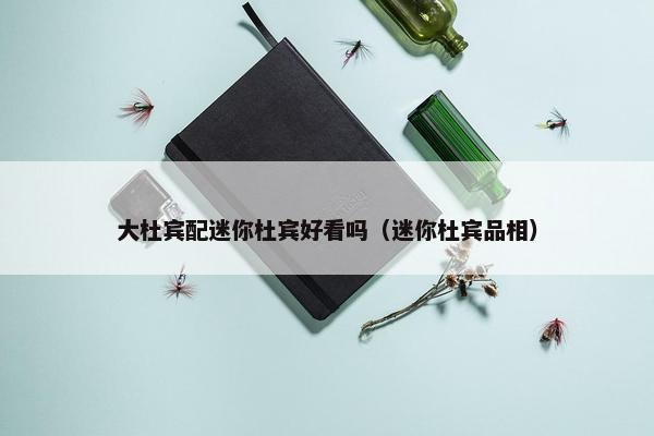 大杜宾配迷你杜宾好看吗（迷你杜宾品相）
