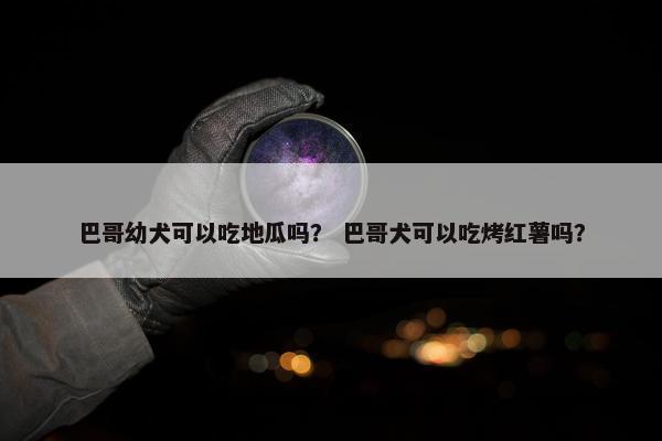 巴哥幼犬可以吃地瓜吗？ 巴哥犬可以吃烤红薯吗？