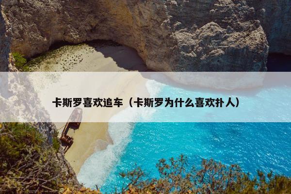 卡斯罗喜欢追车（卡斯罗为什么喜欢扑人）