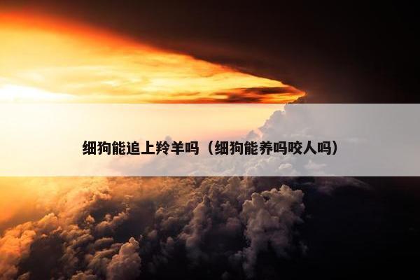 细狗能追上羚羊吗（细狗能养吗咬人吗）