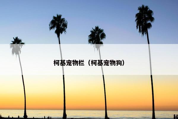 柯基宠物栏（柯基宠物狗）