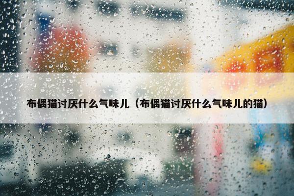 布偶猫讨厌什么气味儿（布偶猫讨厌什么气味儿的猫）