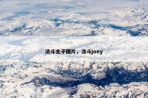 法斗主子图片，法斗joey