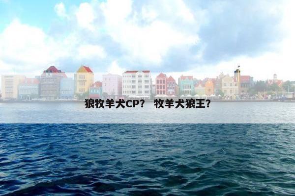 收留