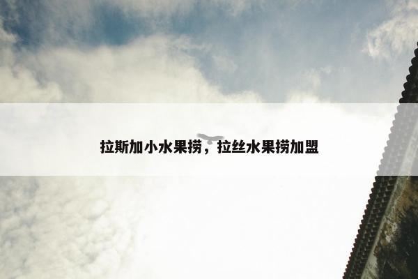 拉斯加小水果捞，拉丝水果捞加盟