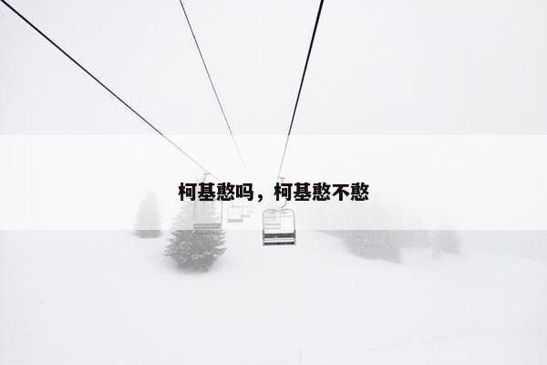 柯基憨吗，柯基憨不憨