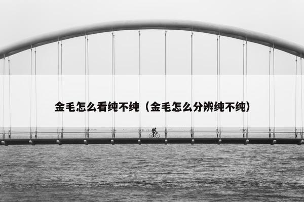 金毛怎么看纯不纯（金毛怎么分辨纯不纯）