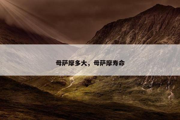 母萨摩多大，母萨摩寿命