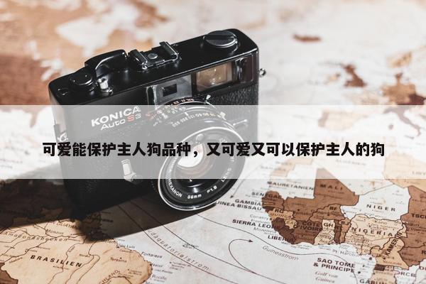 可爱能保护主人狗品种，又可爱又可以保护主人的狗