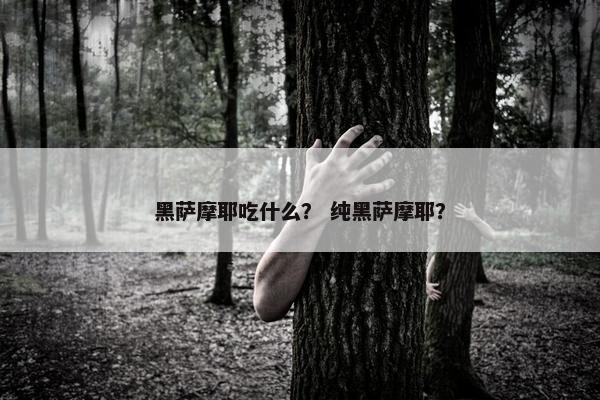 黑萨摩耶吃什么？ 纯黑萨摩耶？